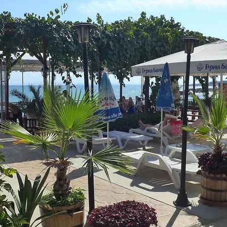 Отель Petrov Family